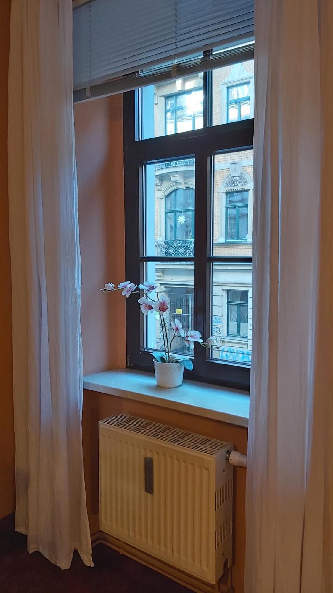City-Ferienwohnungen-Dresden - Zentral Gelegen Im Haus Louisenstrasse 11 - Dresden-Neustadt 외부 사진