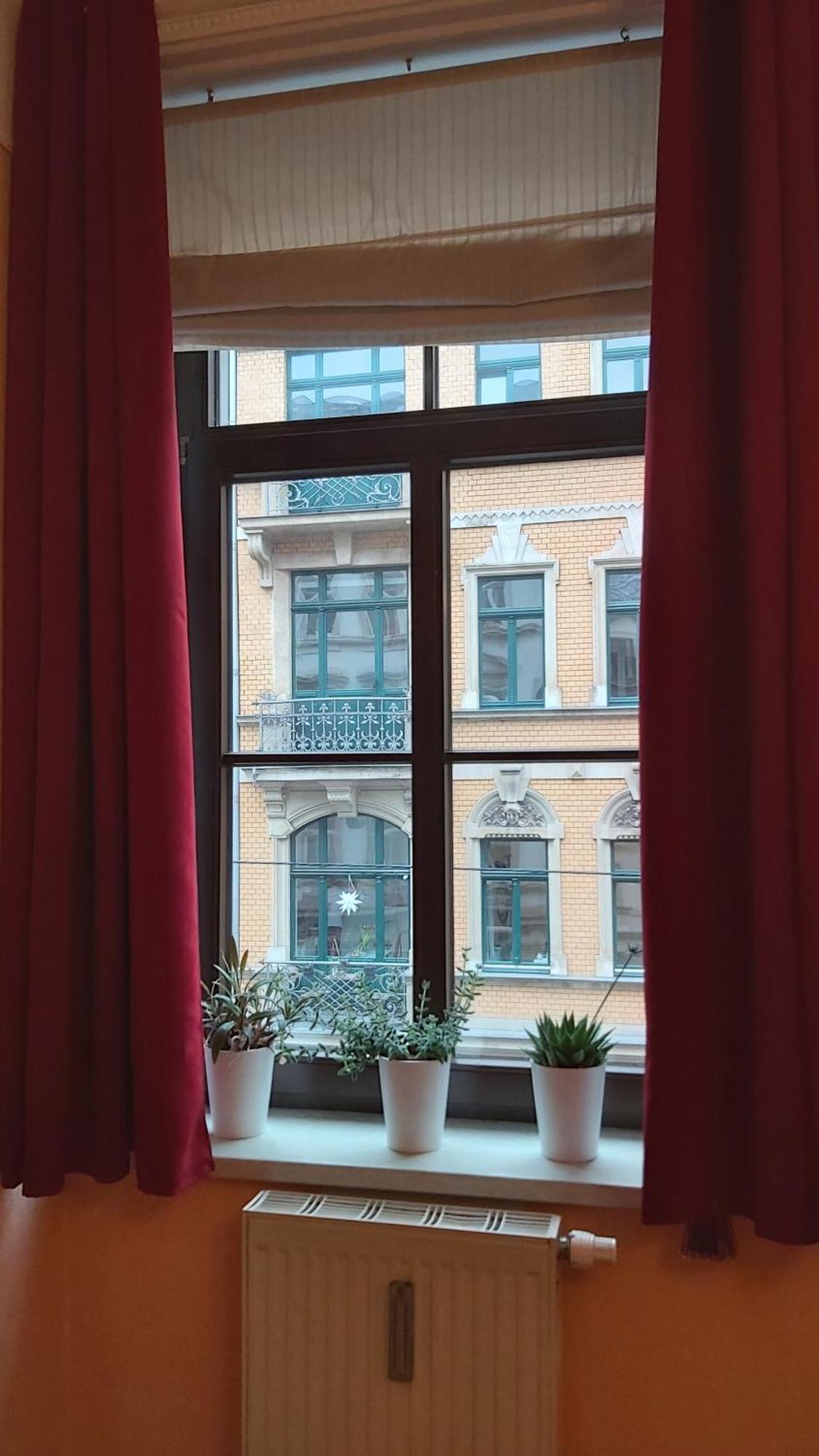 City-Ferienwohnungen-Dresden - Zentral Gelegen Im Haus Louisenstrasse 11 - Dresden-Neustadt 외부 사진