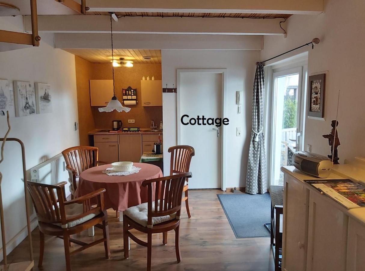 City-Ferienwohnungen-Dresden - Zentral Gelegen Im Haus Louisenstrasse 11 - Dresden-Neustadt 외부 사진